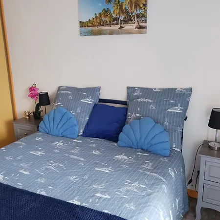 T2 Vue Et Port,2 Balcons, Parking Prive Lejlighed Canet-en-Roussillon